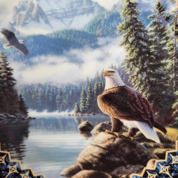 Vintage The Bradford Exchange "Pride of the Sky" by Frank Mittelstadt Plate - Picture 11 of 14